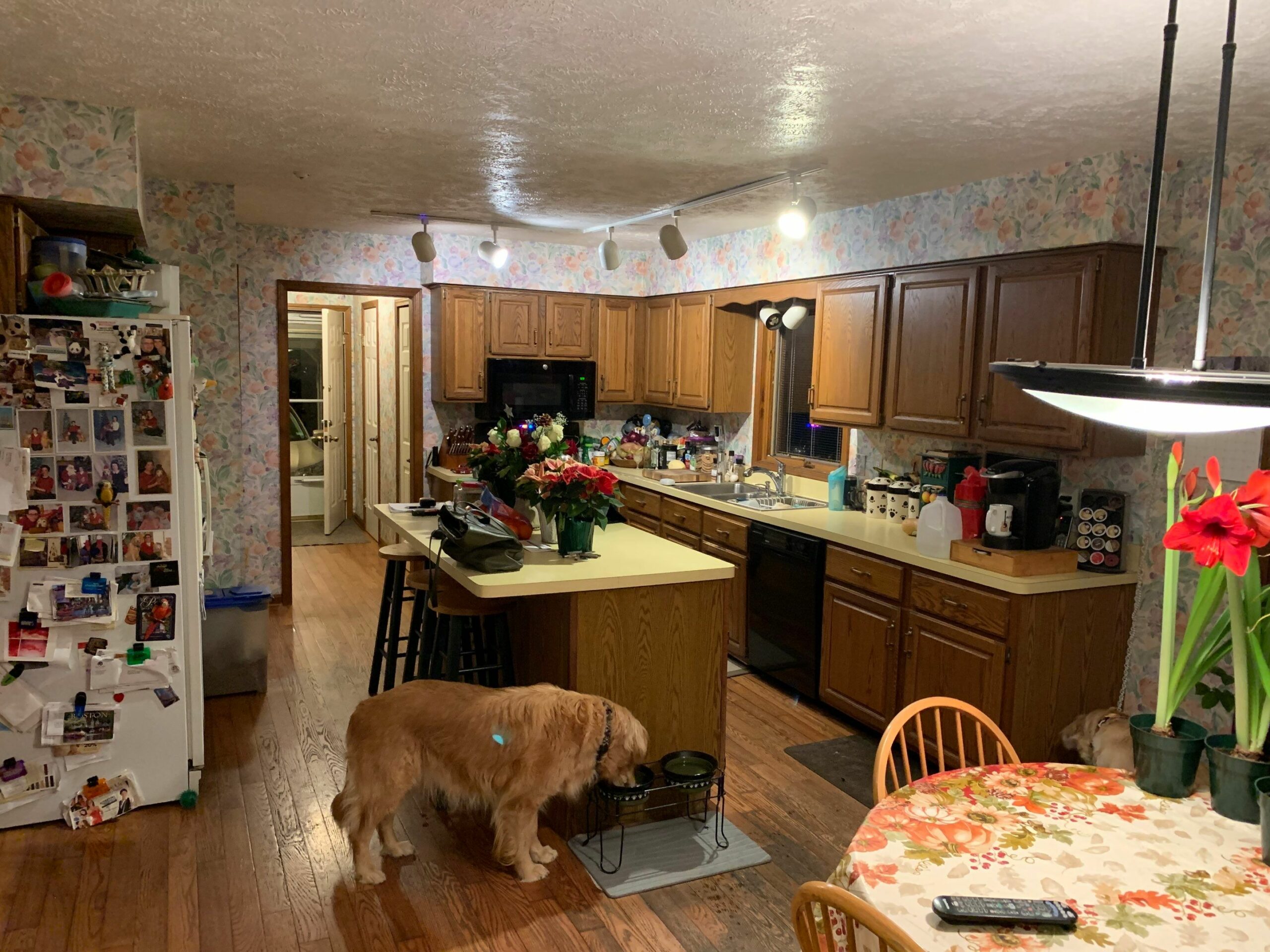 kitchen remodel chagrin falls 37 scaled - Keselman Construction Group Inc