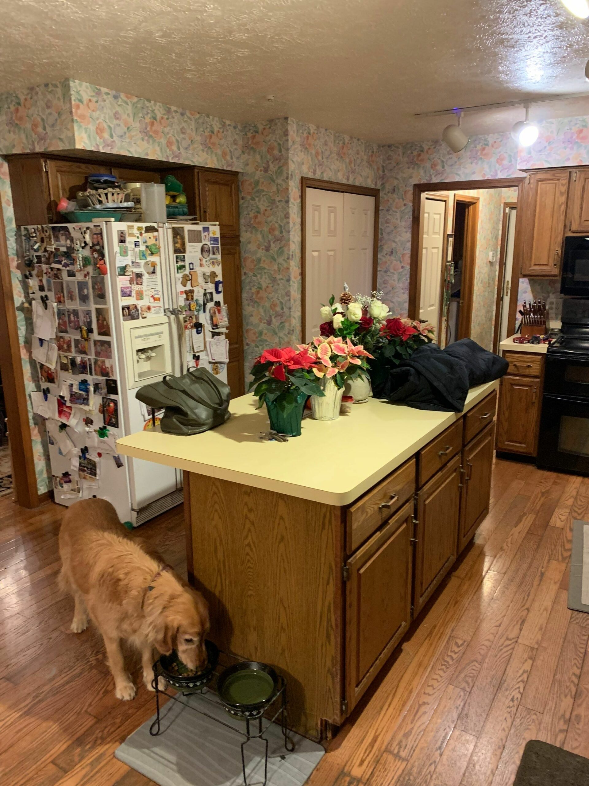 kitchen remodel chagrin falls 42 scaled - Keselman Construction Group Inc