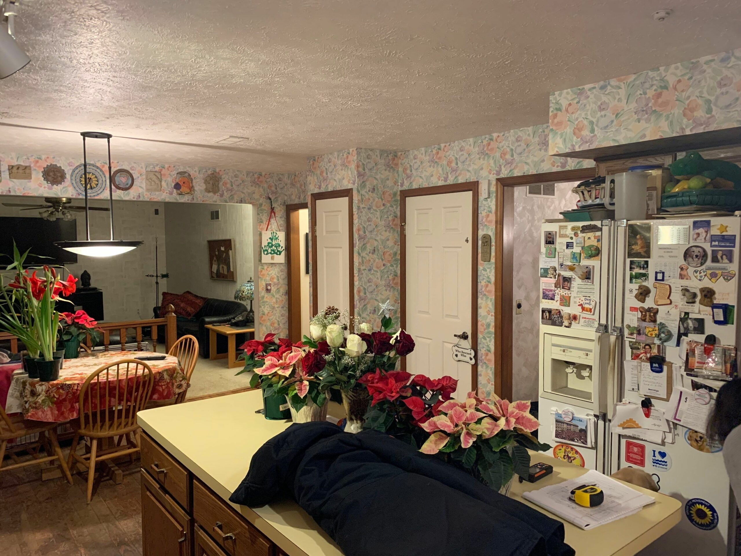 kitchen remodel chagrin falls 49 scaled - Keselman Construction Group Inc